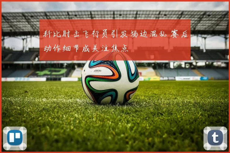 科比肘击飞行员引发场边混乱 赛后动作细节成关注焦点