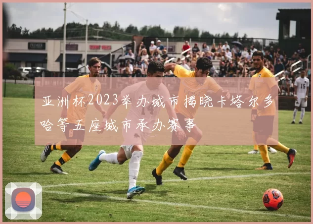 亚洲杯2023举办城市揭晓卡塔尔多哈等五座城市承办赛事